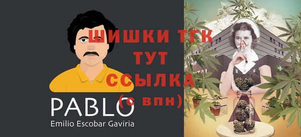 трава Осинники