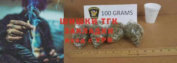 трава Осинники