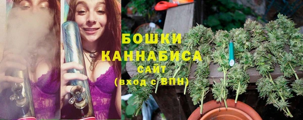 прущие грибы Снежногорск