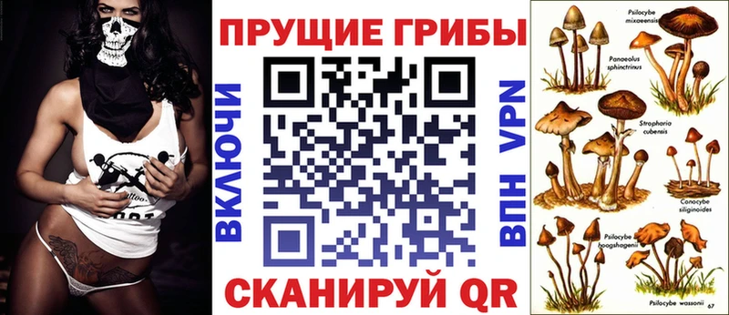 как найти закладки  Мещовск  блэк спрут как войти  Галлюциногенные грибы Psilocybe 